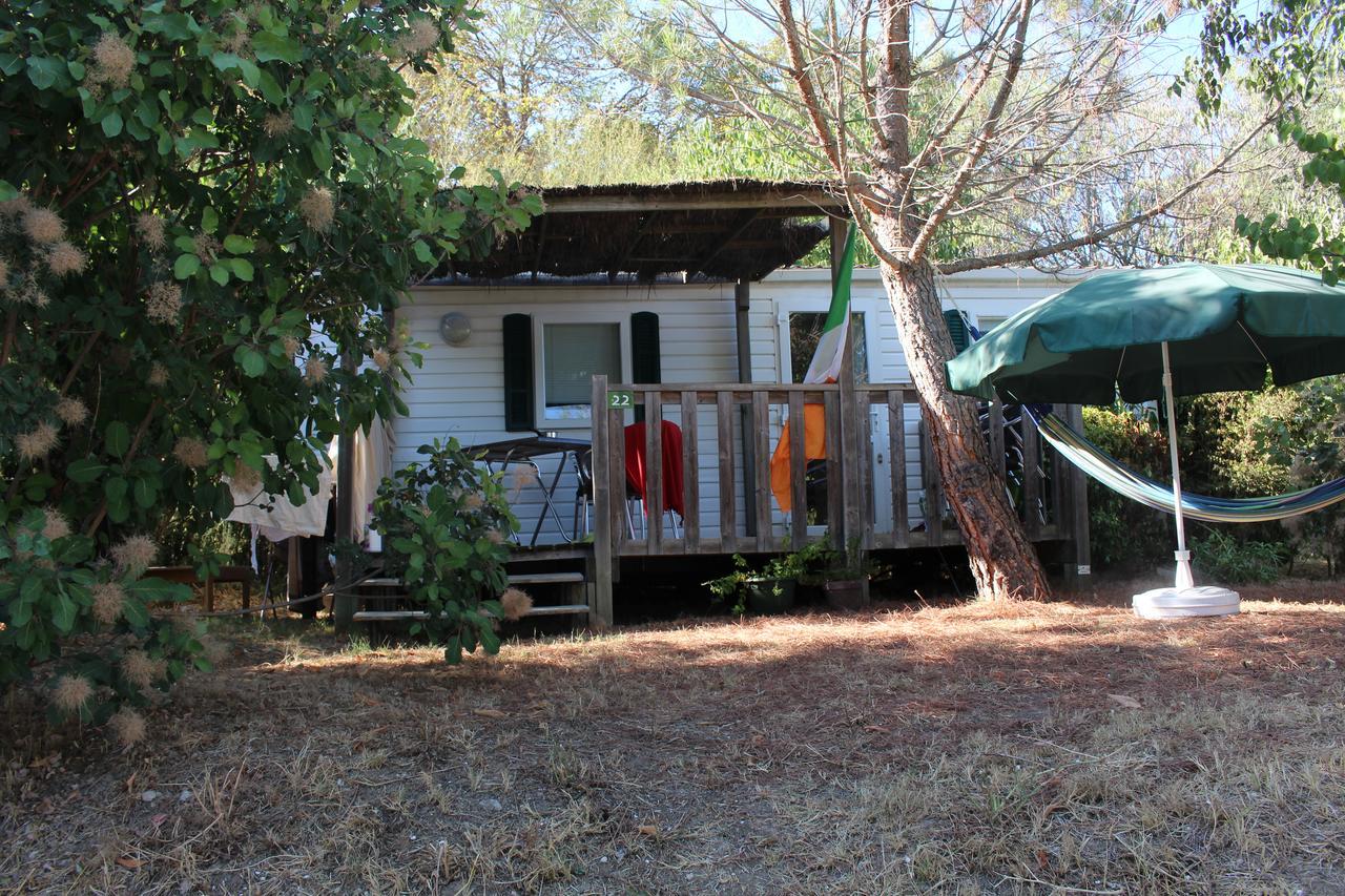 Camping Forcalquier Les Routes De Provence Otel Dış mekan fotoğraf